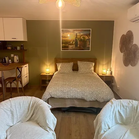 Апартаменты Le Greenhouse Либурн