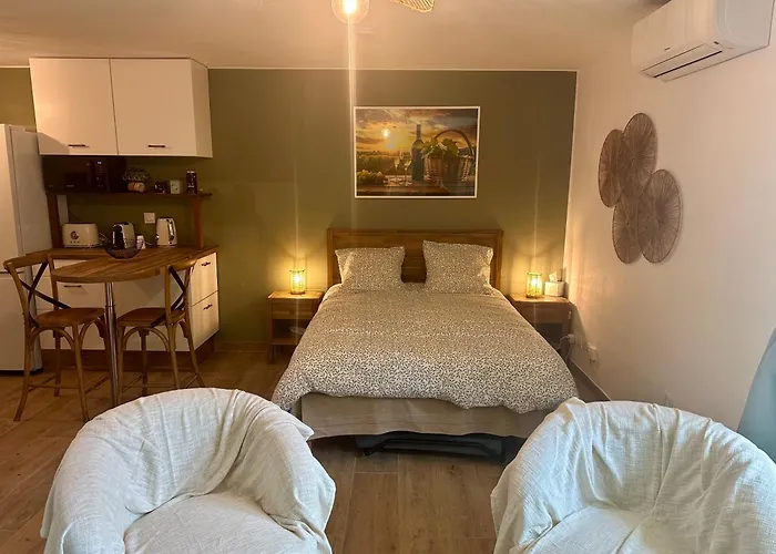 Appartement Le Greenhouse Libourne